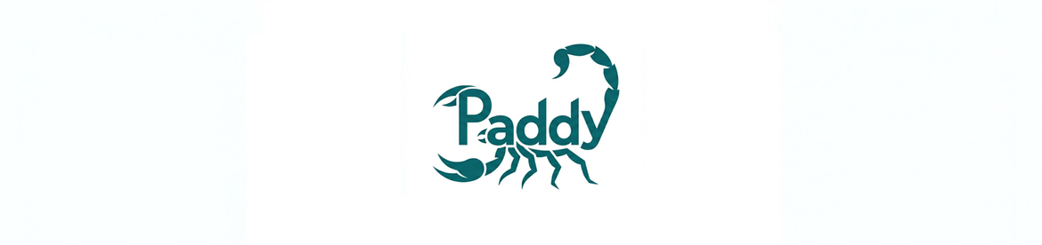 Paddy-Party